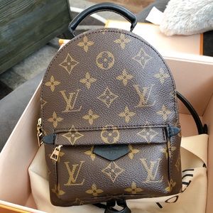 Louis Vuitton Palm Springs Mini